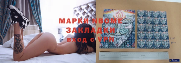 гидра Алексеевка