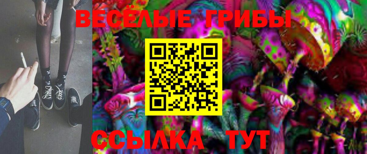 закладки  Вход с VPN  Кыштым  Галлюциногенные грибы Psilocybe 